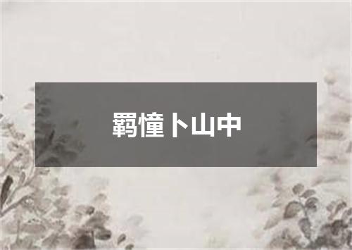 羁憧卜山中