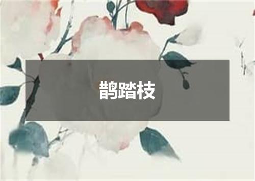 鹊踏枝