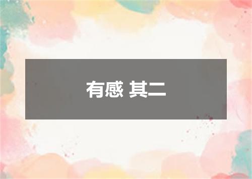 有感 其二