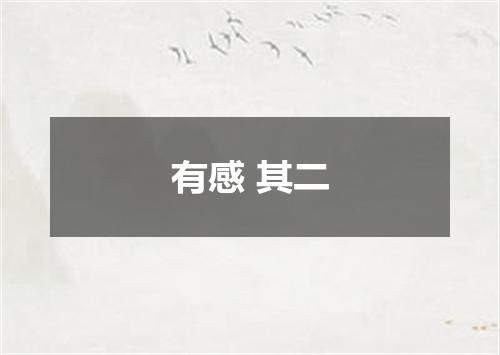 有感 其二