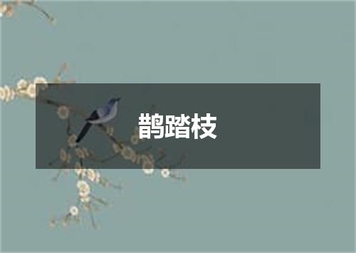 鹊踏枝