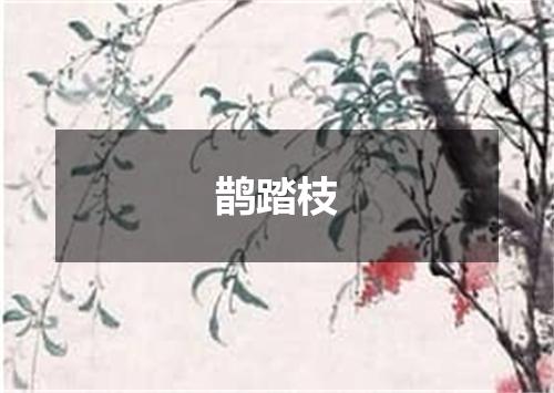 鹊踏枝