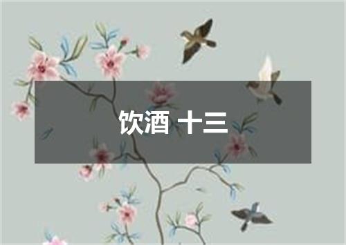 饮酒 十三