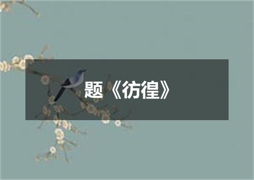 题《彷徨》