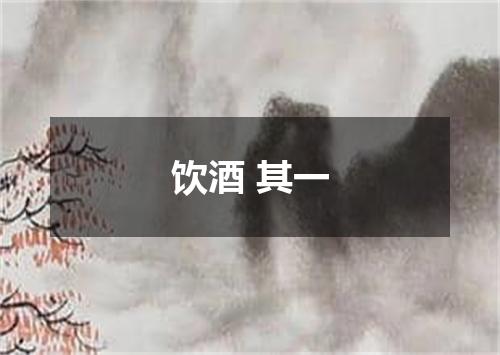 饮酒 其一