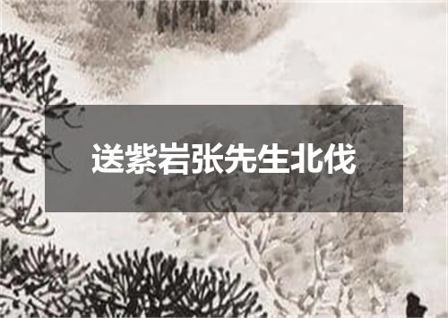 送紫岩张先生北伐