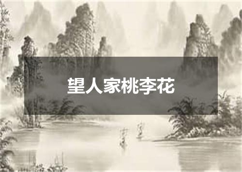 望人家桃李花