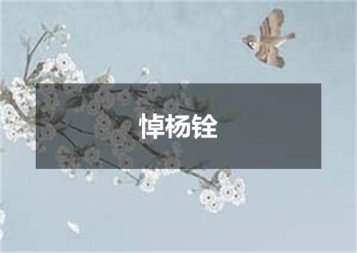 悼杨铨