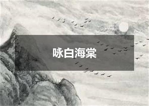 咏白海棠