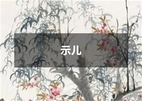 示儿