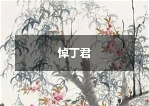 悼丁君
