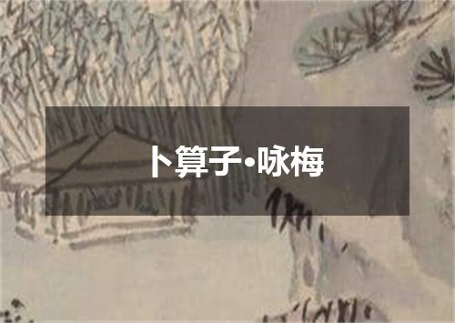 卜算子·咏梅