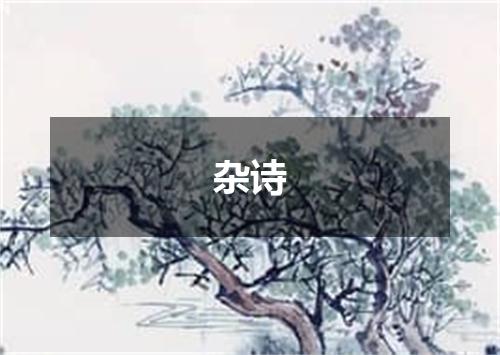 杂诗