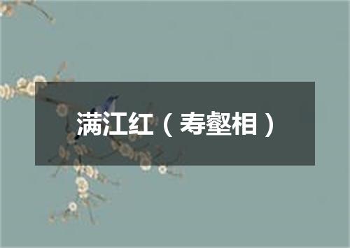满江红（寿壑相）