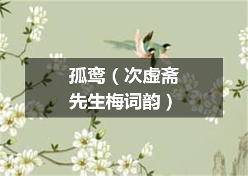 孤鸾（次虚斋先生梅词韵）