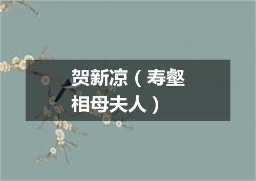 贺新凉（寿壑相母夫人）
