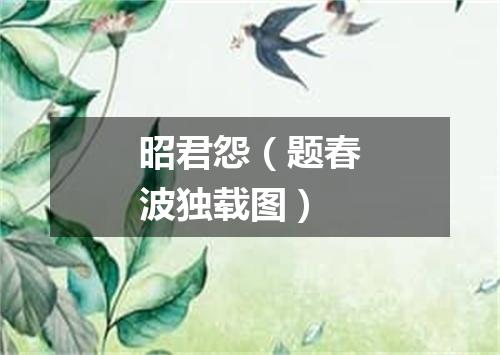 昭君怨（题春波独载图）