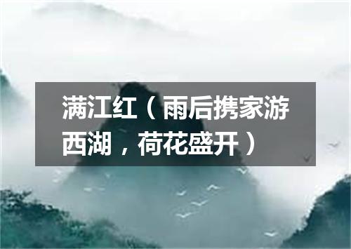 满江红（雨后携家游西湖，荷花盛开）