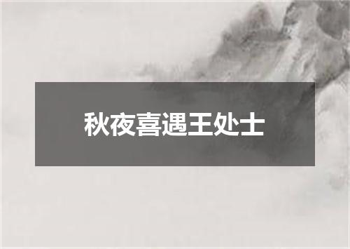 秋夜喜遇王处士