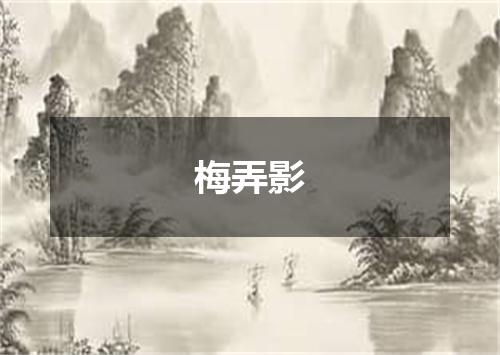梅弄影