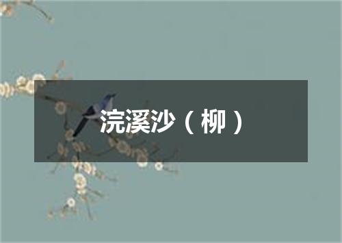 浣溪沙（柳）