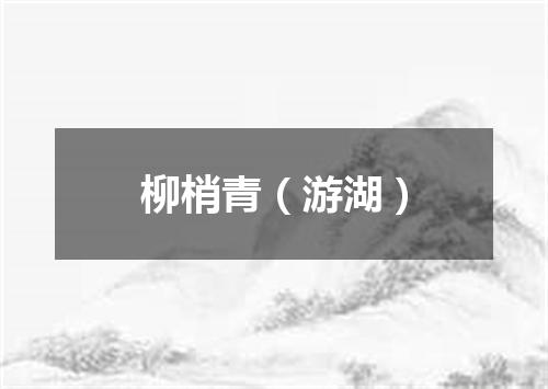 柳梢青（游湖）