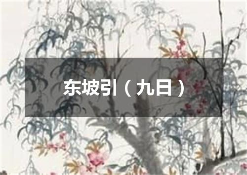 东坡引（九日）