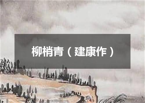 柳梢青（建康作）