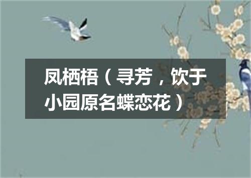 凤栖梧（寻芳，饮于小园原名蝶恋花）