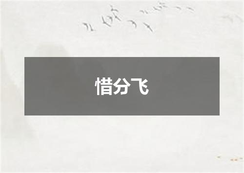 惜分飞