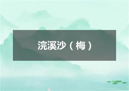 浣溪沙（梅）