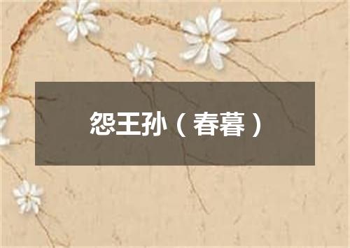 怨王孙（春暮）