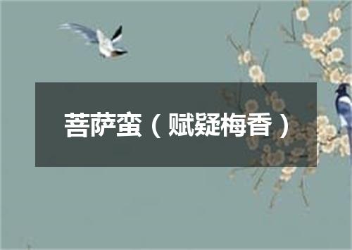 菩萨蛮（赋疑梅香）