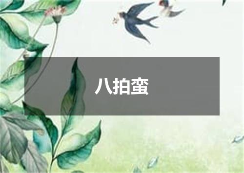 八拍蛮