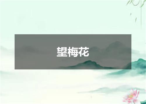 望梅花
