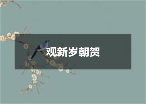 观新岁朝贺