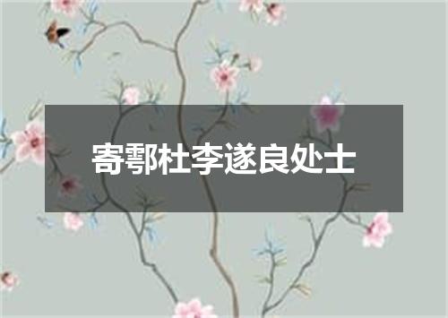 寄鄠杜李遂良处士