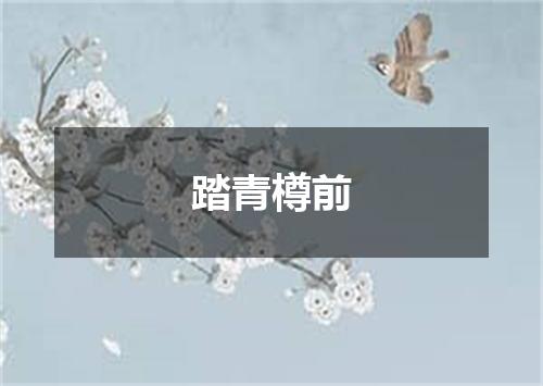 踏青樽前