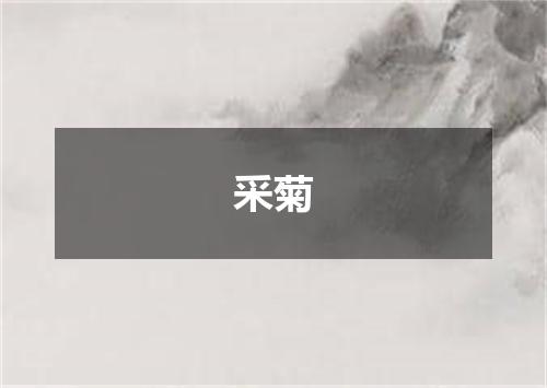 采菊