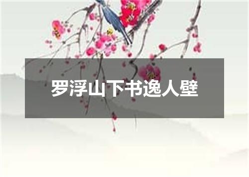 罗浮山下书逸人壁