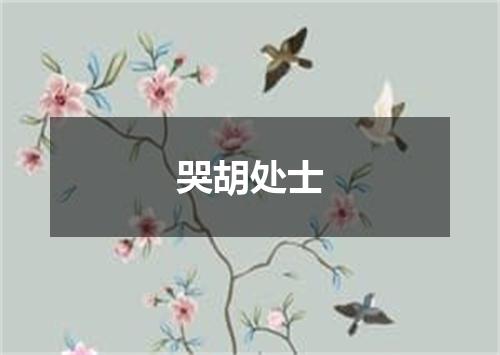 哭胡处士