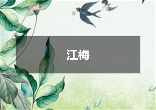 江梅
