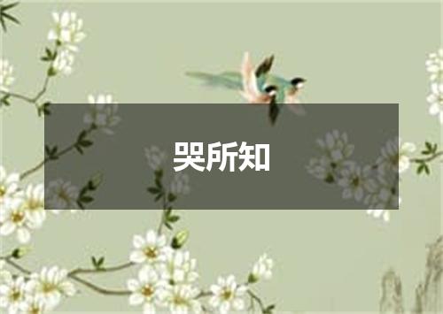哭所知