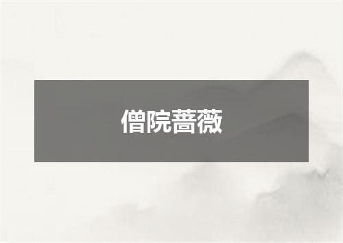 僧院蔷薇