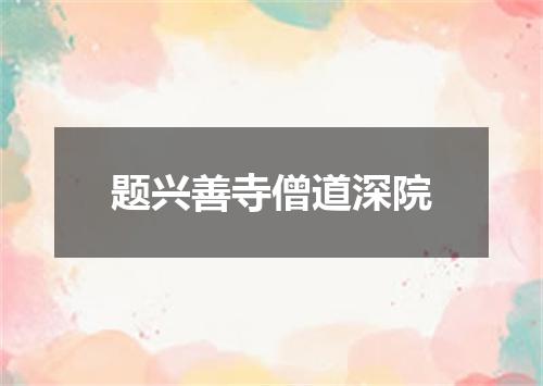 题兴善寺僧道深院