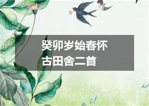 癸卯岁始春怀古田舍二首