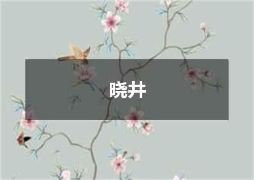 晓井