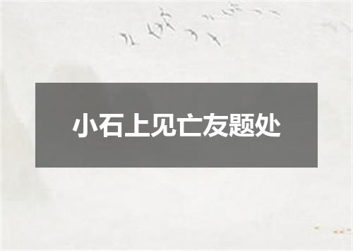 小石上见亡友题处