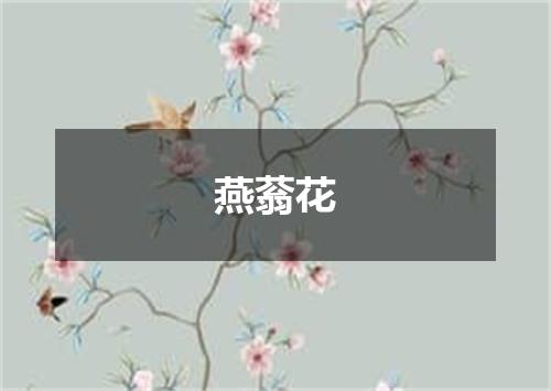 燕蓊花