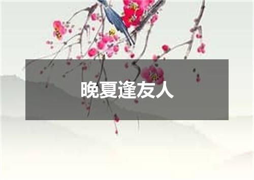 晚夏逢友人